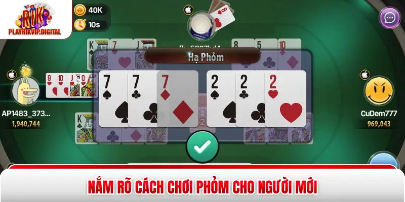 Nắm rõ cách chơi Phỏm cho người mới