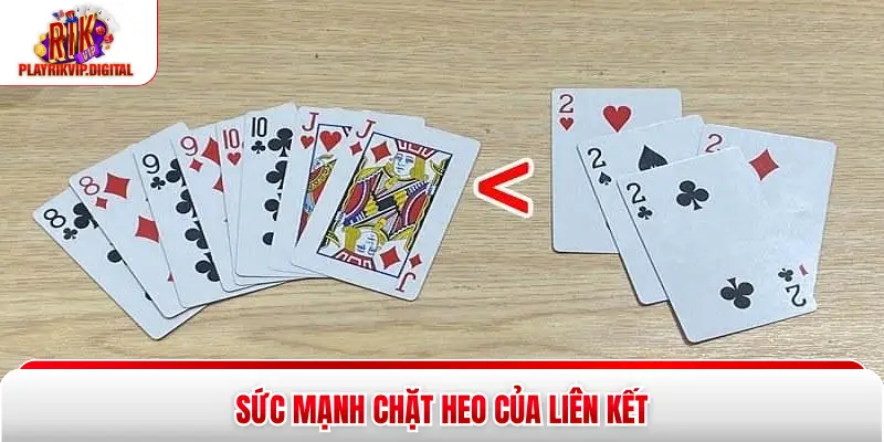 Sức mạnh chặt heo của liên kết